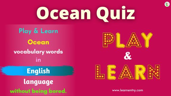Ocean quiz in English