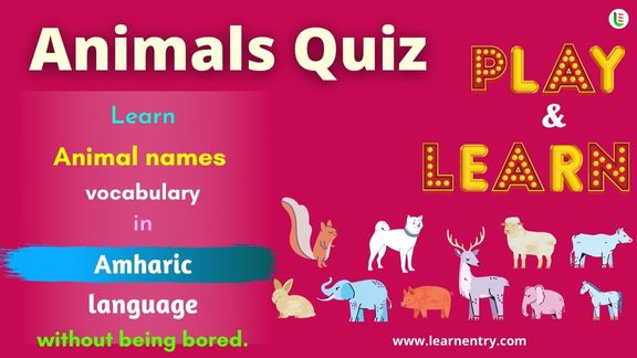 Animals quiz in Amharic
