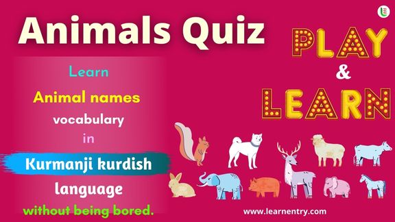 Animals quiz in Kurmanji kurdish