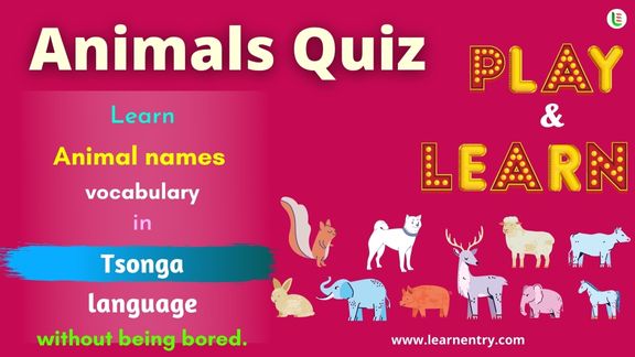Animals quiz in Tsonga
