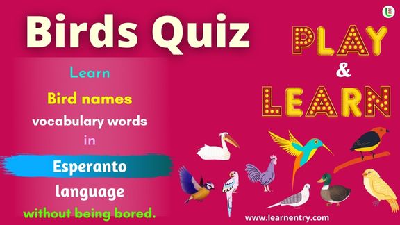 Birds quiz in Esperanto