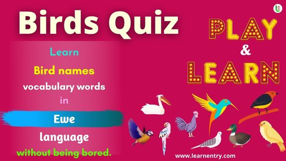 Birds quiz in Ewe