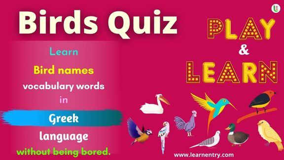 Birds quiz in Greek