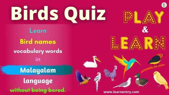 Birds quiz in Malayalam