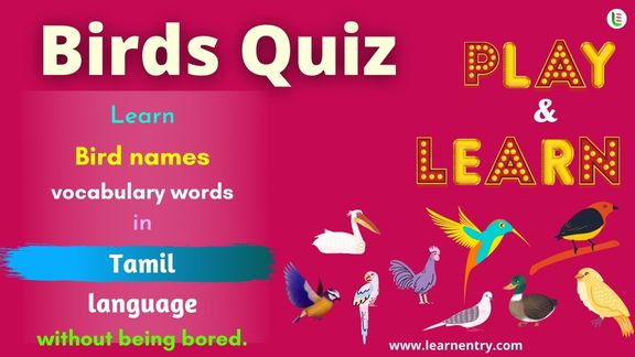 Birds quiz in Tamil