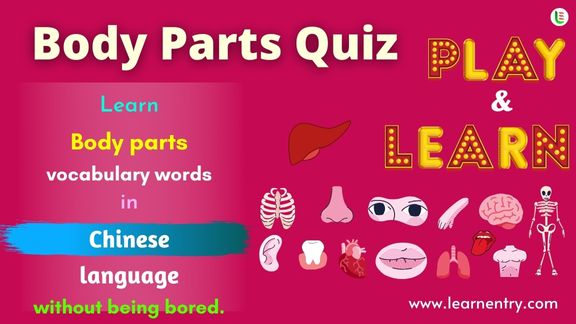 Human Body parts quiz in Chinese