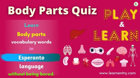 Human Body parts quiz in Esperanto