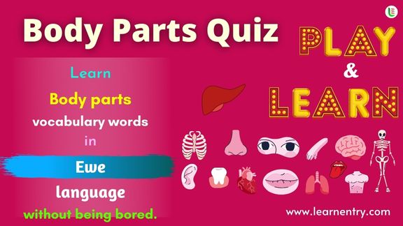 Human Body parts quiz in Ewe