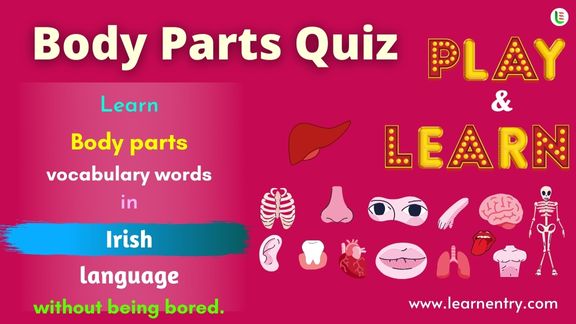 Human Body parts quiz in Irish