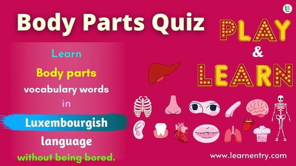 Human Body parts quiz in Luxembourgish