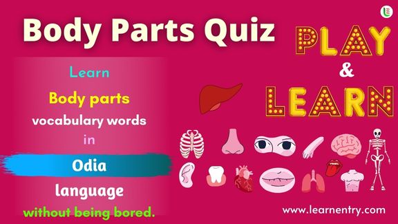 Human Body parts quiz in Odia