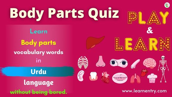 Human Body parts quiz in Urdu
