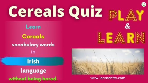 Cereals quiz in Irish