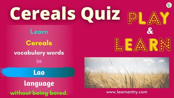 Cereals quiz in Lao