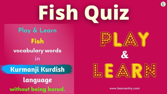 Fish quiz in Kurmanji kurdish