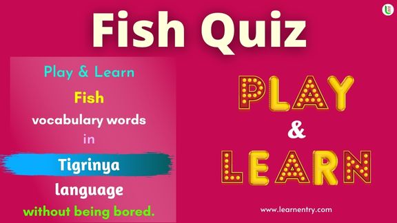 Fish quiz in Tigrinya