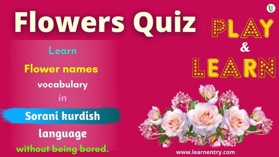 Flower quiz in Sorani kurdish