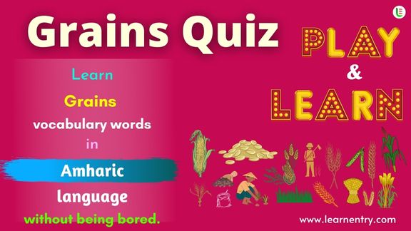 Grains quiz in Amharic