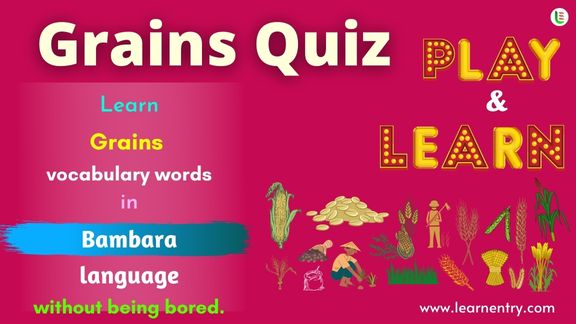 Grains quiz in Bambara