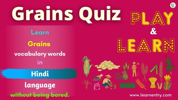 Grains quiz in Hindi