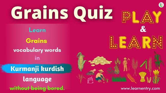 Grains quiz in Kurmanji kurdish