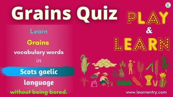 Grains quiz in Scots gaelic