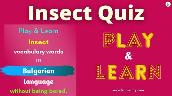 Insect quiz in Bulgarian