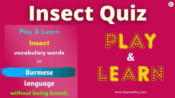 Insect quiz in Burmese