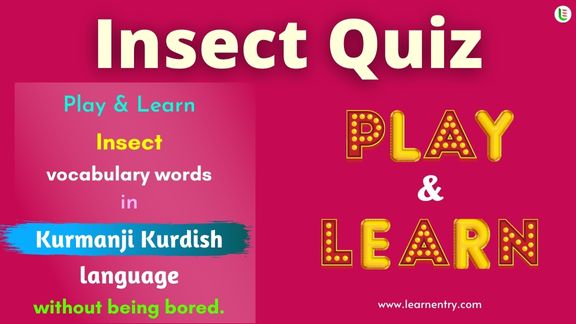 Insect quiz in Kurmanji kurdish