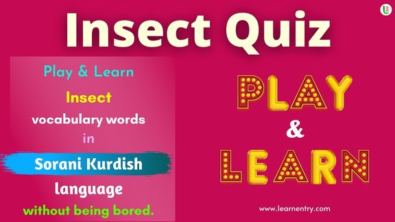 Insect quiz in Sorani kurdish