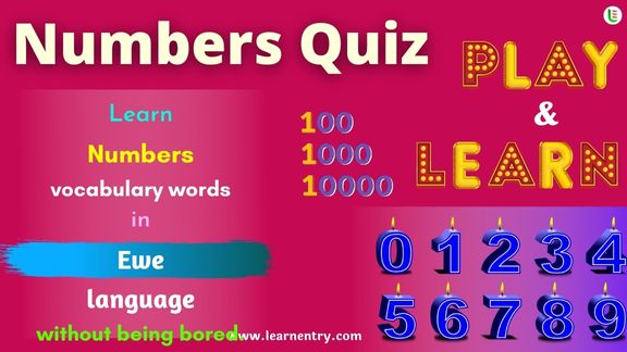 Ewe Number Quiz for Beginners | Learn Entry