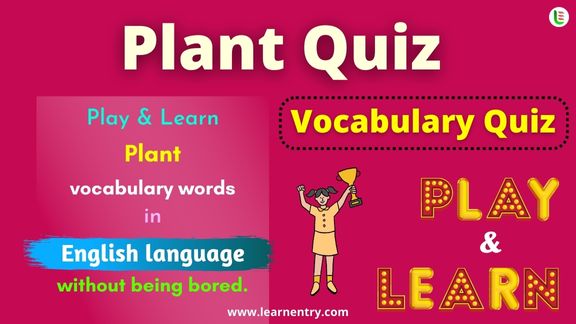 Plant quiz in English