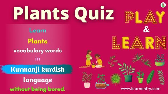 Plant quiz in Kurmanji kurdish