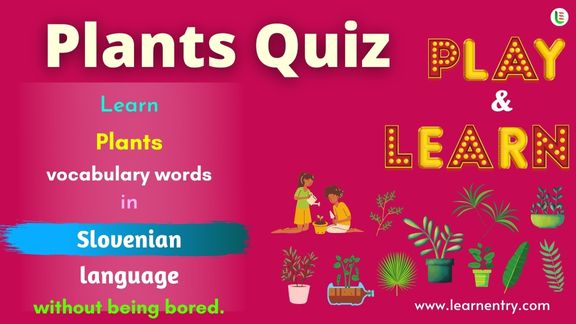 Plant quiz in Slovenian