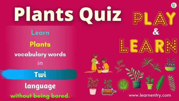 Plant quiz in Twi