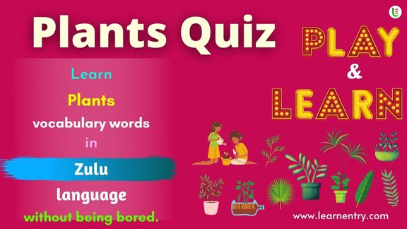 Plant quiz in Zulu