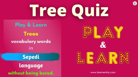 Tree quiz in Sepedi