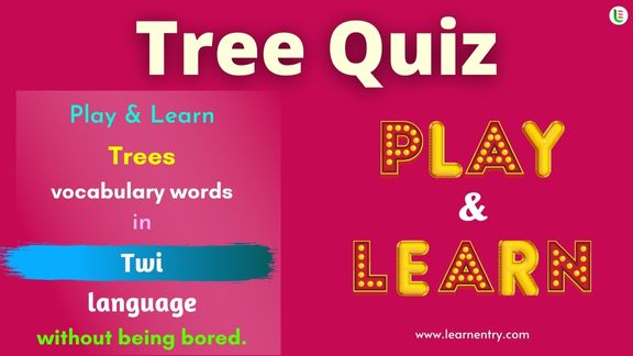 Tree quiz in Twi
