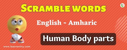 Guess the Human Body parts in Amharic