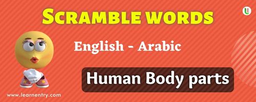 Guess the Human Body parts in Arabic