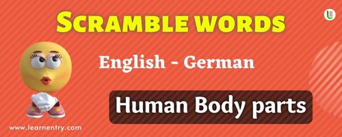 Guess the Human Body parts in German