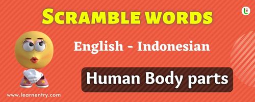 Guess the Human Body parts in Indonesian