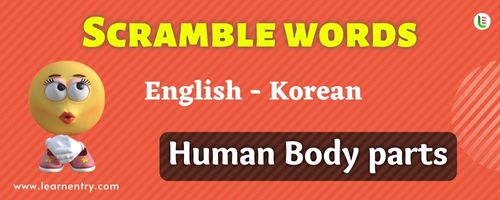 Guess the Human Body parts in Korean