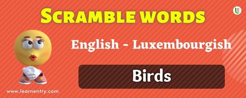Guess the Birds in Luxembourgish