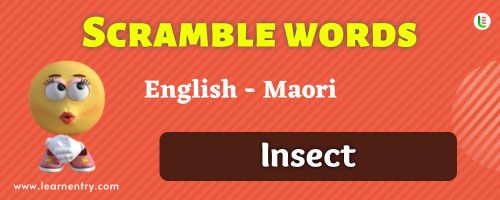 Guess the Insect in Maori