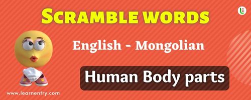 Guess the Human Body parts in Mongolian