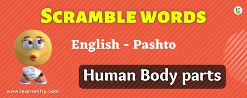 Guess the Human Body parts in Pashto