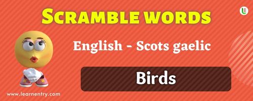 Guess the Birds in Scots gaelic