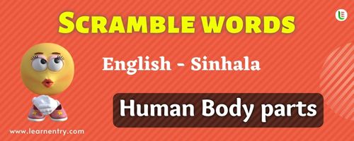 Guess the Human Body parts in Sinhala