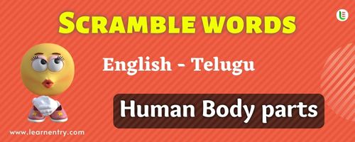 Guess the Human Body parts in Telugu